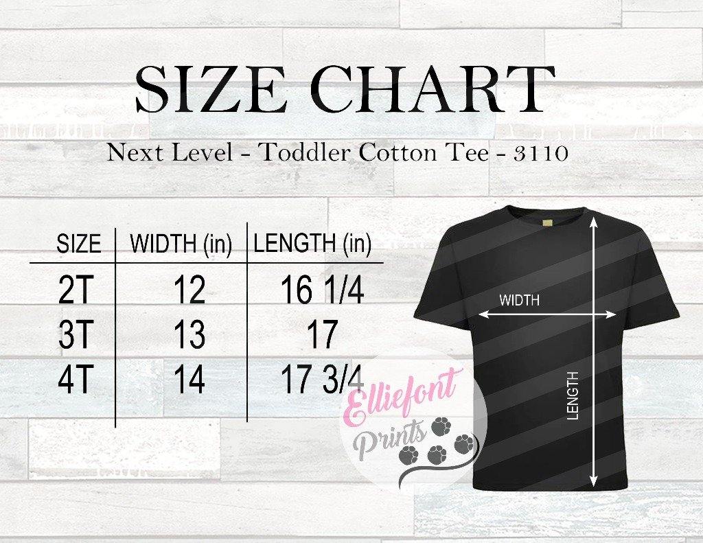 Next Level 3110 Size Chart