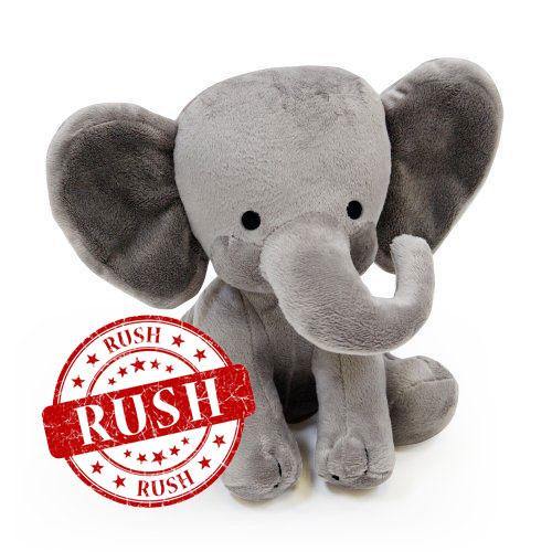 Rush My Order Please! - Elliefont Styles